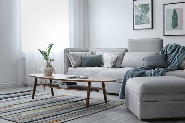 Elegant living room interior with comfortable sofa - 写真・画像