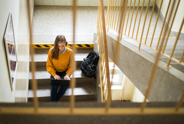 Young female college student sitting on stairs at school, writing essay on her laptop. Education concept. View from above. - 写真・画像