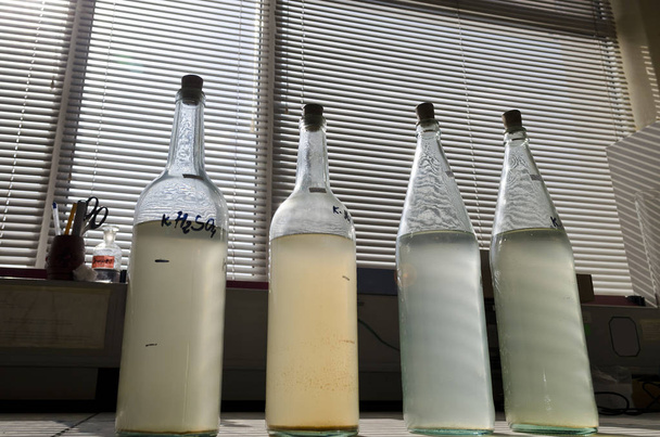 Ensaio de amostras de água no laboratório da estação de tratamento de água
 - Foto, Imagem