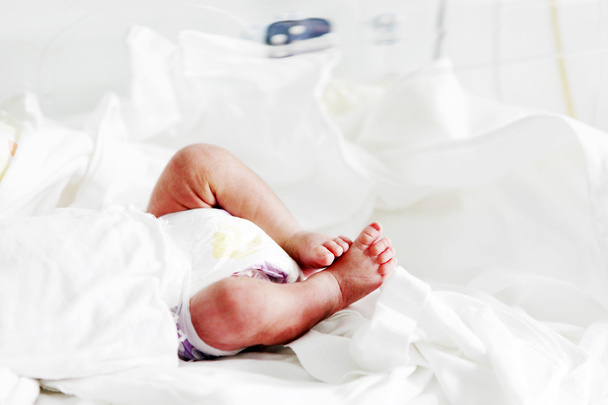 newborn baby in incubator - Photo, image