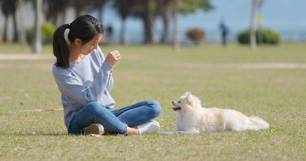 Mujer tomando fotos en su perro en el parque al aire libre
  - Foto, imagen