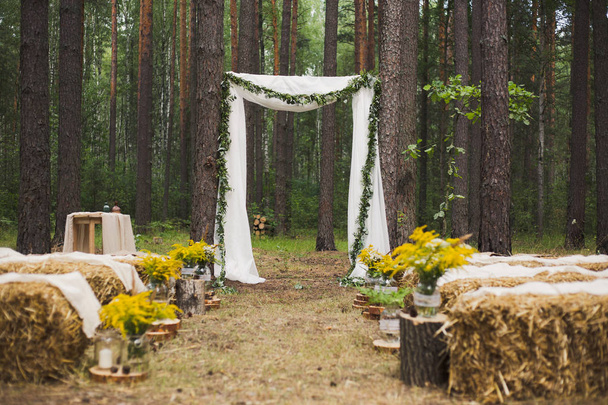 place in old autumn wood for wedding ceremony - Photo, image