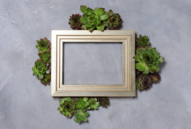 golden frame with succulent plants - Foto, Imagem