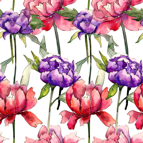 Colorful peony. Floral botanical flower. Wild spring leaf wildflower pattern. - Foto, immagini