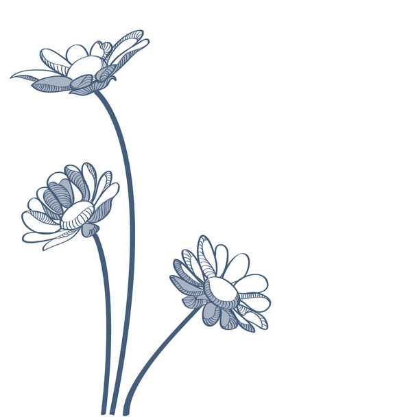 Camomilles bleues - illustration vectorielle
 - Vecteur, image