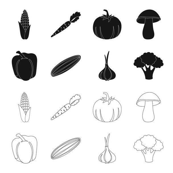 Red sweet pepper, green cucumber, garlic, cabbage. Vegetables set collection icons in black,outline style vector symbol stock illustration web. - Vettoriali, immagini