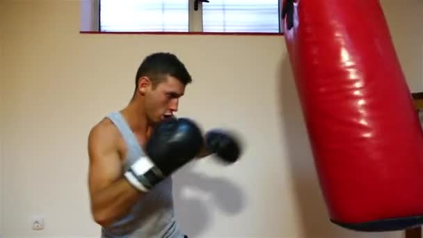 Jeune boxeur fort frappant le sac de boxe
 - Séquence, vidéo