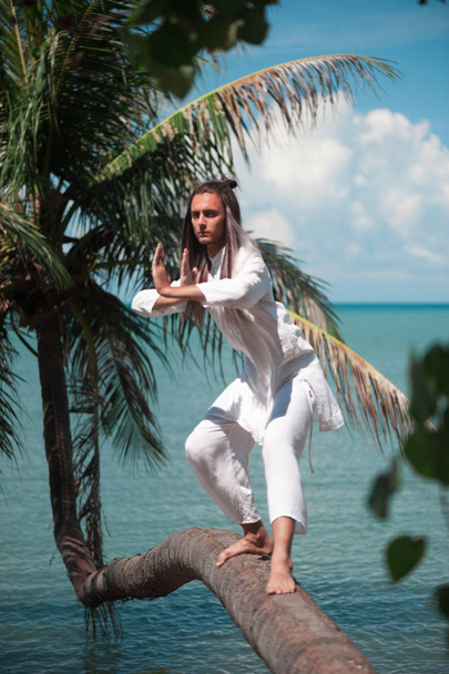 Handsome man is practicing qigong on a palm tree - Photo, Image