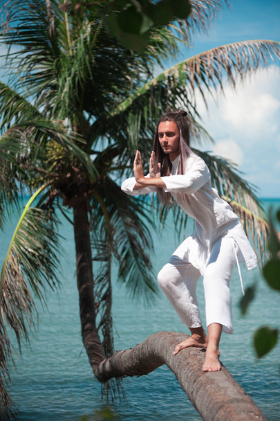 Handsome man is practicing qigong on a palm tree - Foto, imagen