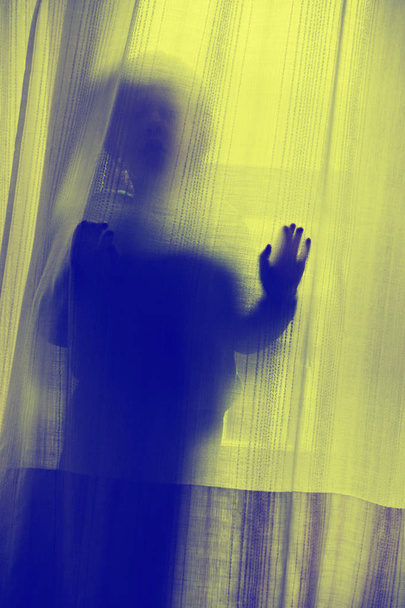 dítě skrývá za oponou - Fotografie, Obrázek