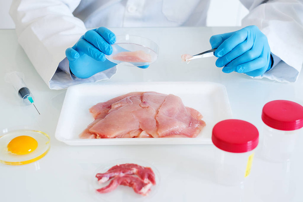 Amostra de carne vermelha fresca em mãos de cientistas em laboratório de controle de qualidade
 - Foto, Imagem