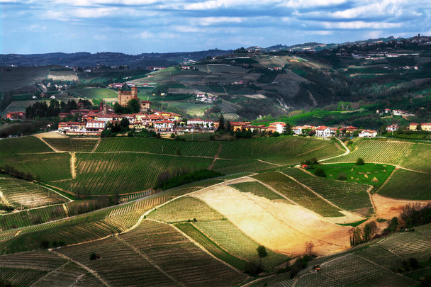 langhe - serralunga d 'alba - weite Sicht auf die mit Weinreben bepflanzten Hügel rund um das Dorf serralunga d' alba, in der langhe. - Foto, Bild