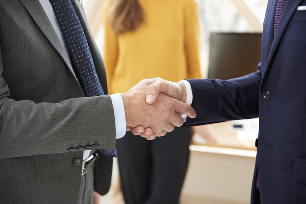 Cropped shot of two businessman wearing suit and shaking hands.  - Foto, Imagen