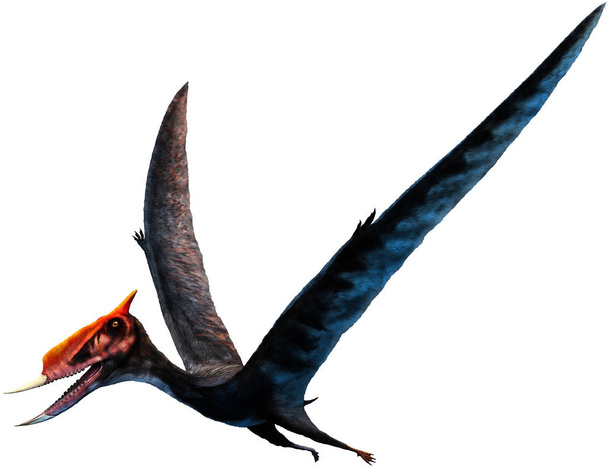 Dsungaripterus od kreda 3d ilustracji - Zdjęcie, obraz