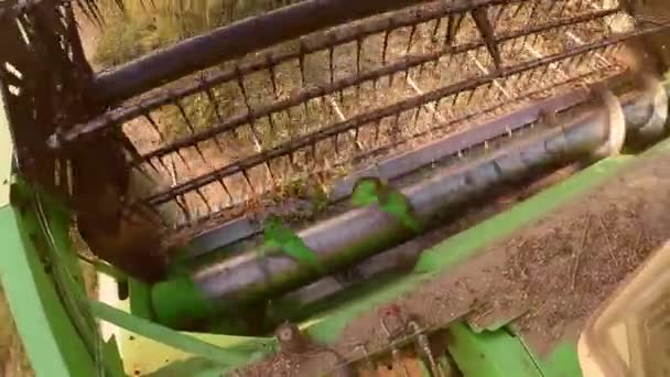 Soja oogst proces in herfst zonsondergang - Video