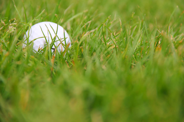 Golf ball on course - Фото, изображение