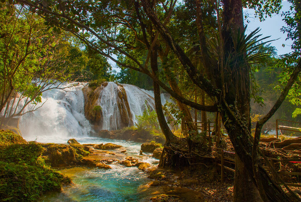 Cachoeira no México. Cachoeira deslumbrante Água Azul perto de Palenque. Chiapas. Maravilha da natureza
. - Foto, Imagem