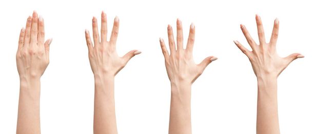 ensemble de mains féminines
 - Photo, image