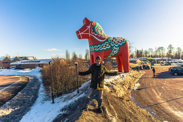 Avesta – 29 marca 2018: Podróżujący w horse Dalarna w Avesta, Szwecja - Zdjęcie, obraz
