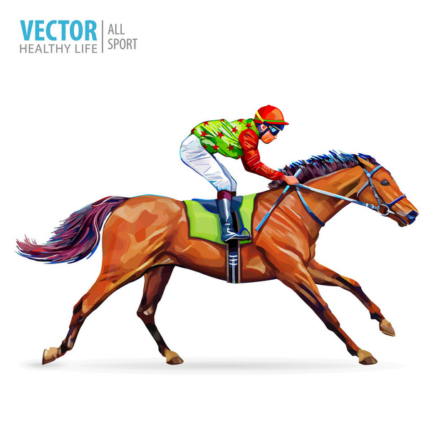 Jockey on horse. Champion. Horse racing. Hippodrome. Racetrack. Jump racetrack. Horse riding. Racing horse coming first to finish line. Isolated on white background. Vector illustration. - Vector, Image
