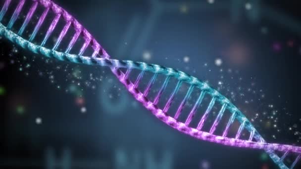 Spirala DNA obrotowa z pojęciem seksualności kolorowe chromosomów - Materiał filmowy, wideo