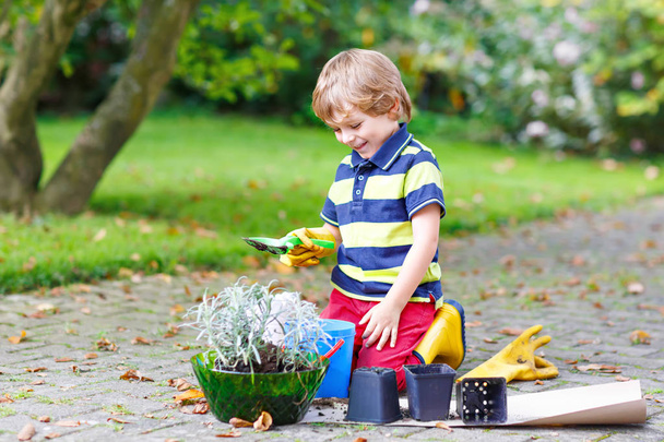 面白い小さな子供男の子 sprinig の庭に花を植える - 写真・画像