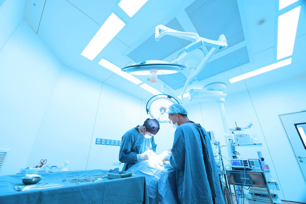 Two of veterinarian surgery in operation room take with art lighting and blue filter - Foto, afbeelding