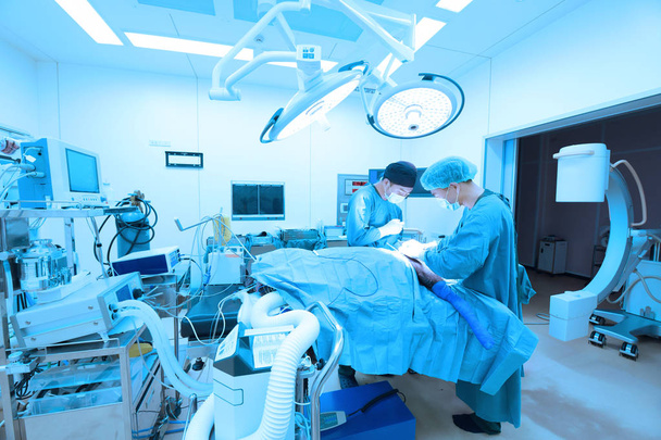 δύο από κτηνίατρο χειρουργική επέμβαση στο χειρουργείο με τέχνη φωτισμού και μπλε φίλτρο - Φωτογραφία, εικόνα