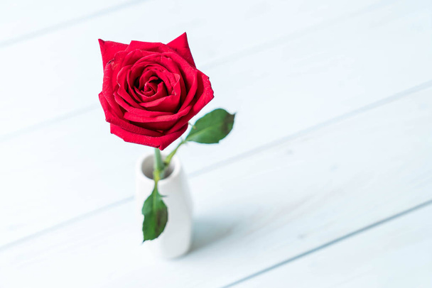 red rose on wood  - 写真・画像