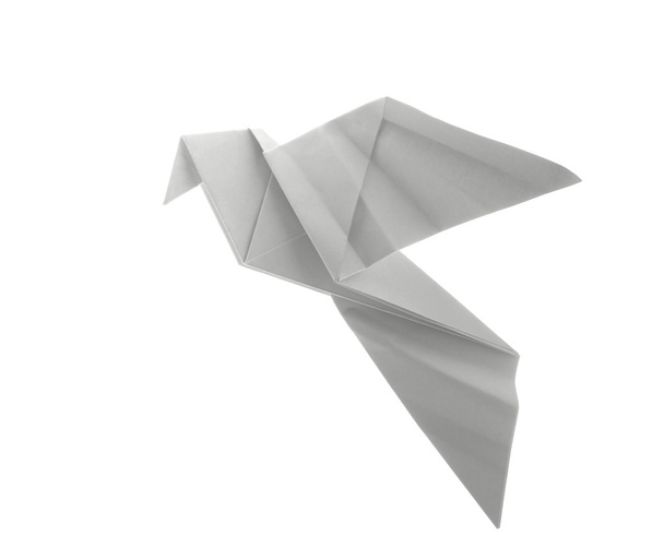 Paloma origami
 - Foto, imagen