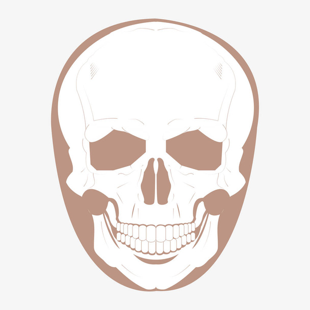 skull icon vector - Vector, Image