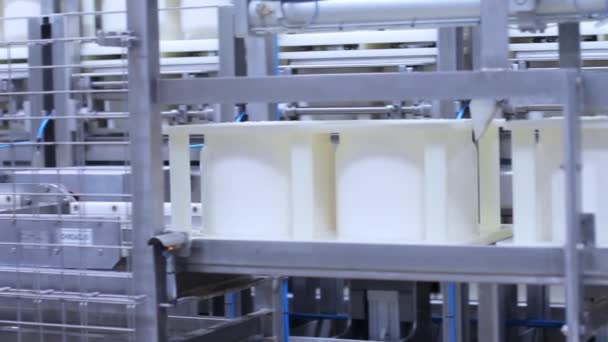 Tovární dopravník pro výrobu sýra. Výroba mléčných výrobků - Záběry, video