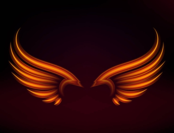 Bird fire wings vector fantasy feather burning fly mystic glow fiery burn hot art wings illustration on black. - Vector, Image