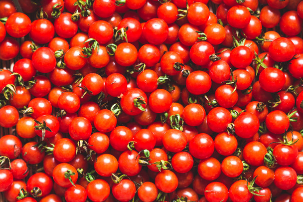 Cereja de tomate em cesta Tomate na mão Sul da Ásia
  - Foto, Imagem