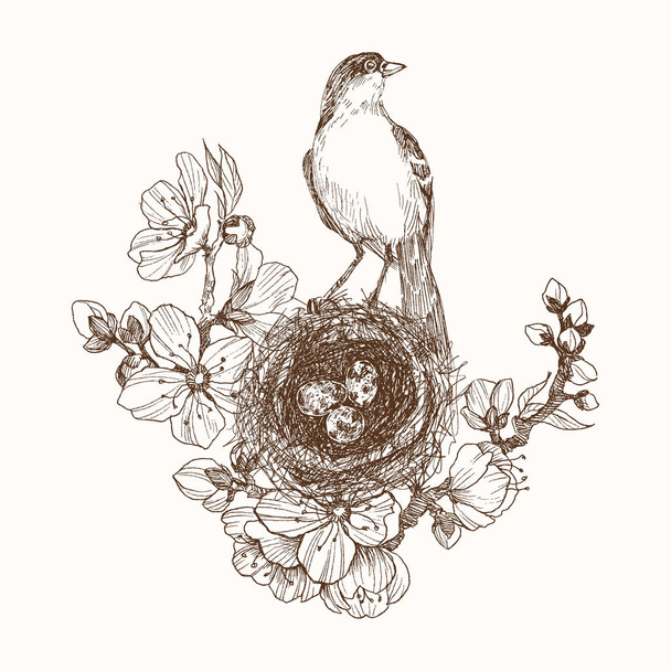 Vector illustration of hand drawn nest with spotted eggs and bird on blooming brunch. Graphic style, beautiful illustration. Engraving retro style - Vektör, Görsel