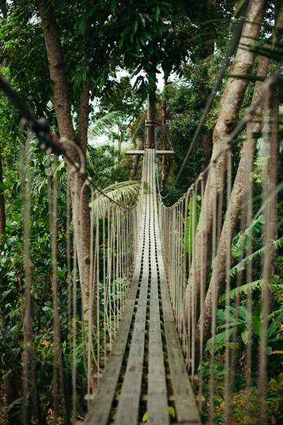 suspension bridge - Photo, Image
