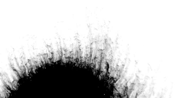 Czarny atrament projekt kropla na białym tle - Materiał filmowy, wideo