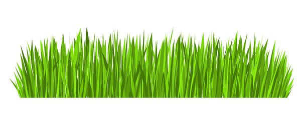 Green Grass Border (vector) - Vector, Image