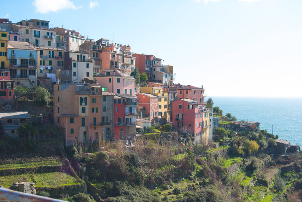 Overzicht van de gekleurde huizen en terrassen van Corniglia - La Sp - Foto, afbeelding