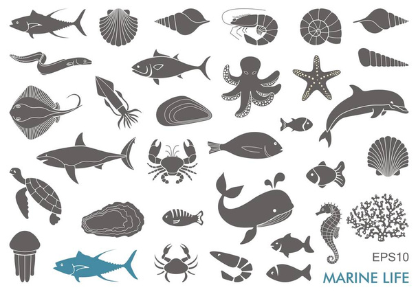 icone della vita marina - Vettoriali, immagini