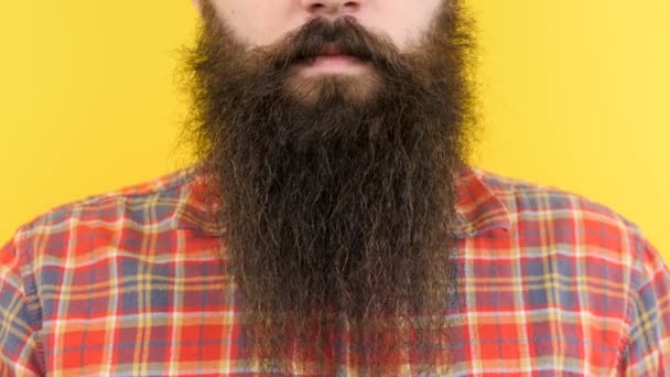 Close up de barba longa bonita no rosto hipster
 - Filmagem, Vídeo