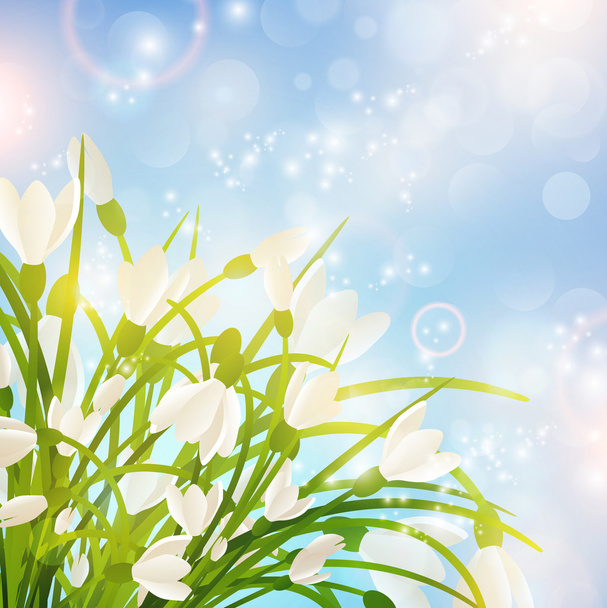 Spring Flowers - Vector, Image