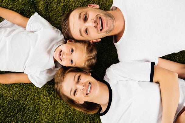 вид зверху щасливої сім'ї в подібному одязі лежить на зеленому газоні
 - Фото, зображення