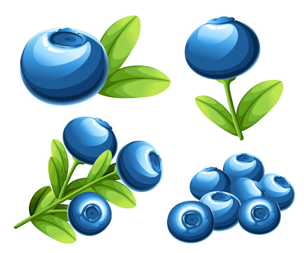 Berry-blueberry gyűjtemény. Vektoros illusztráció blueberry zöld levelekkel. Vektoros illusztráció dekoratív poszter, a jelkép természetes termék, a mezőgazdasági termelők piacra. Honlap- és design mobil app - Vektor, kép