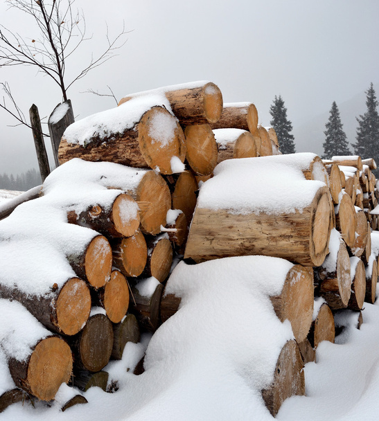 Brennholz im Winter unter dem Schnee - Foto, Bild