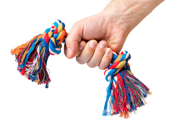 Рука с собачьей игрушкой
 - Фото, изображение