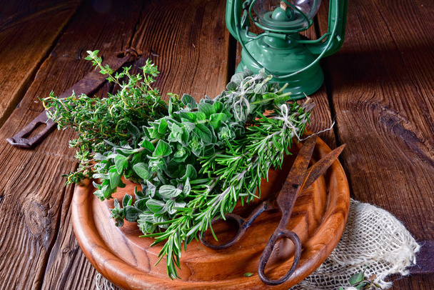 Herbal collection of  thyme,oregano, rosemary - Foto, imagen