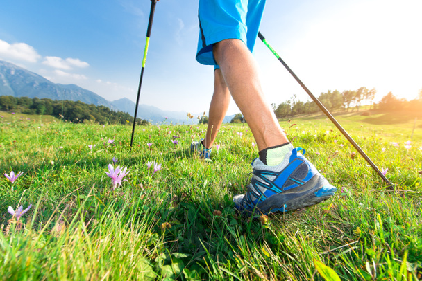 Walk in the meadow with spring flowers with Nordic walking poles - Photo, Image