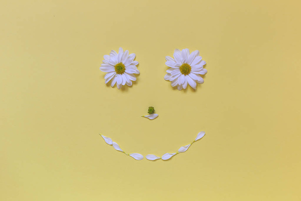 A face made of chamomile on a yellow background - Photo, Image