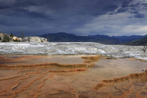 mamuta gorących źródeł, yellowstone national park, wyoming, Stany Zjednoczone Ameryki - Zdjęcie, obraz